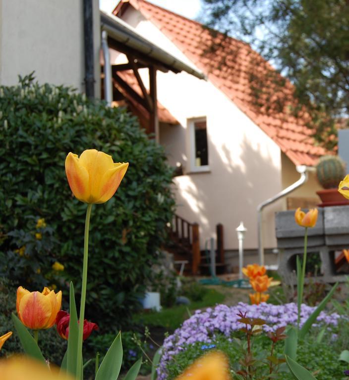 Maya Guesthouse Егер Екстериор снимка