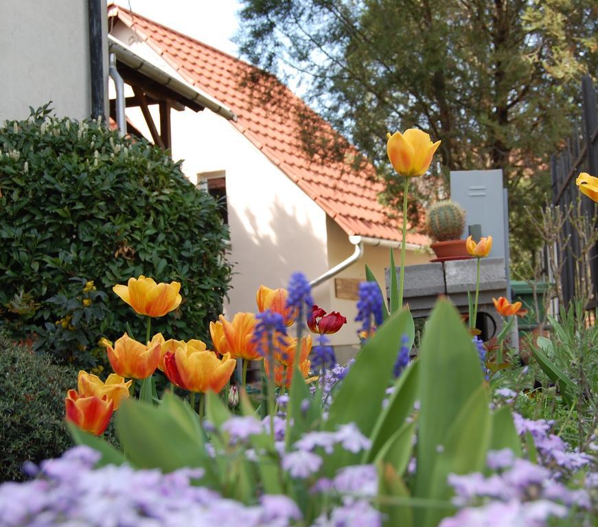 Maya Guesthouse Егер Екстериор снимка